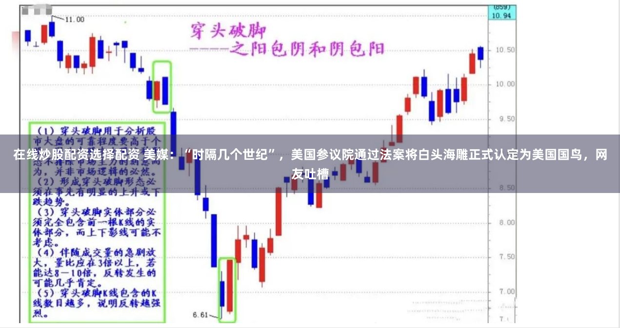 在线炒股配资选择配资 美媒：“时隔几个世纪”，美国参议院通过法案将白头海雕正式认定为美国国鸟，网友吐槽