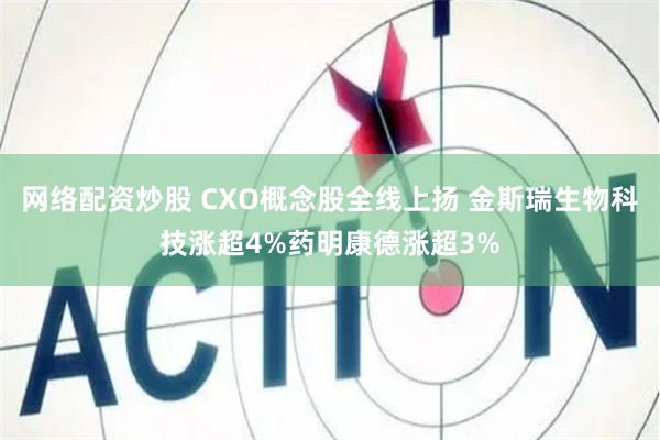 网络配资炒股 CXO概念股全线上扬 金斯瑞生物科技涨超4%药明康德涨超3%