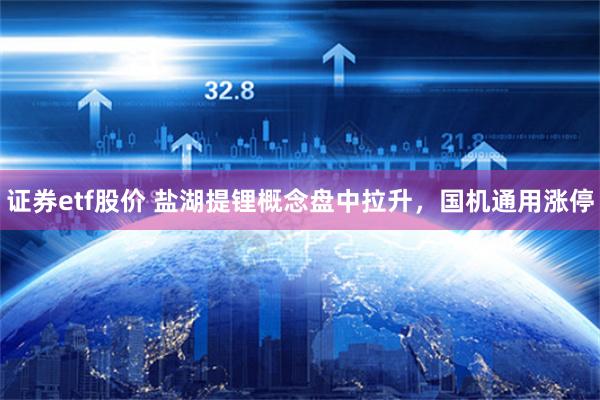 证券etf股价 盐湖提锂概念盘中拉升，国机通用涨停