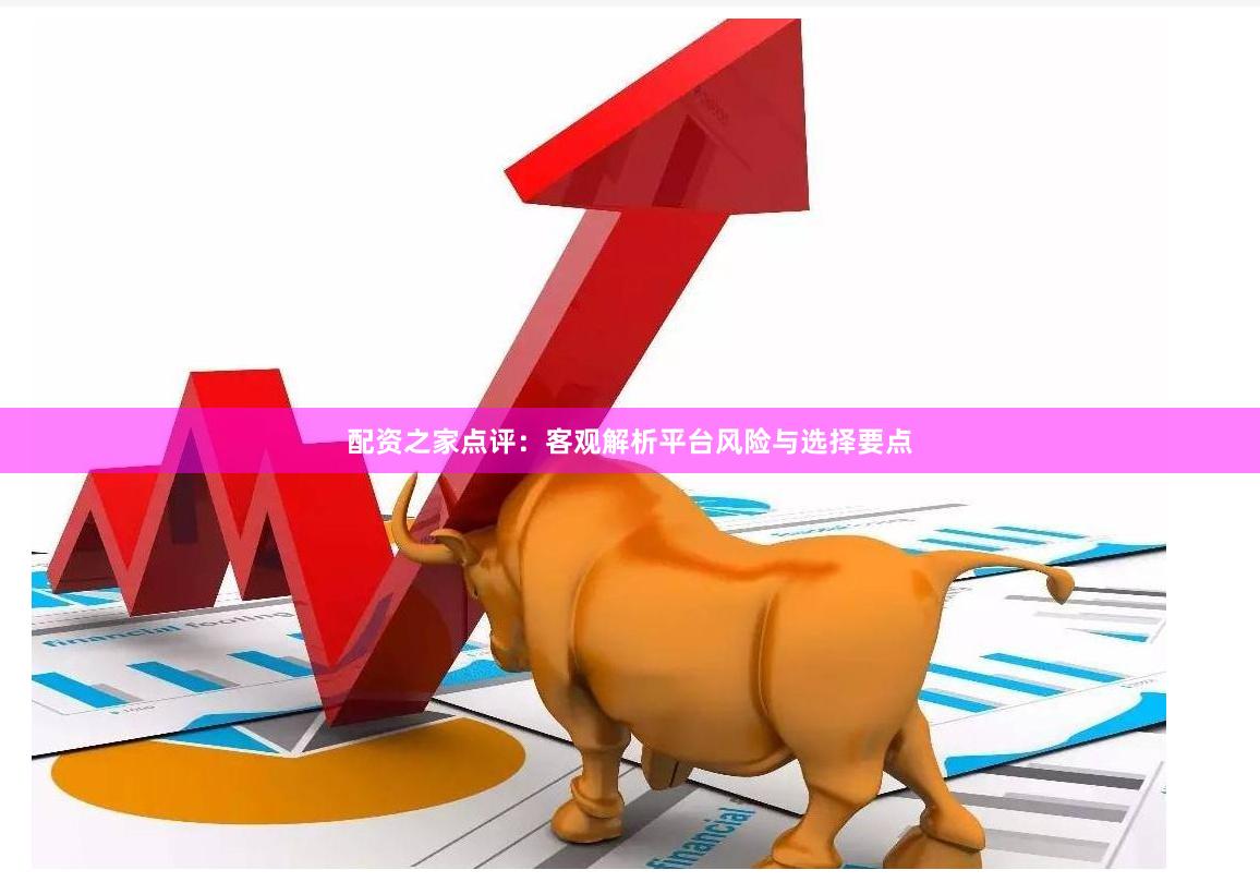 配资之家点评：客观解析平台风险与选择要点